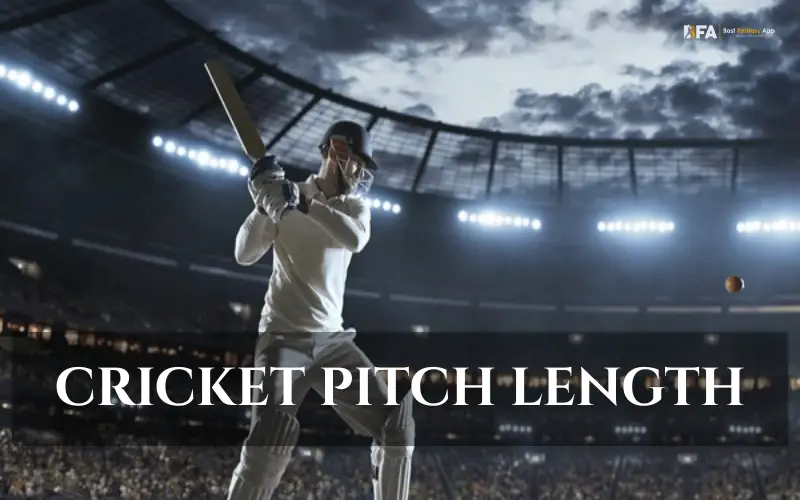 cricket pitch length