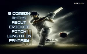 cricket pitch length