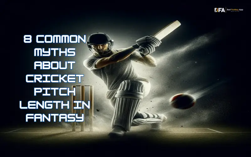 cricket pitch length