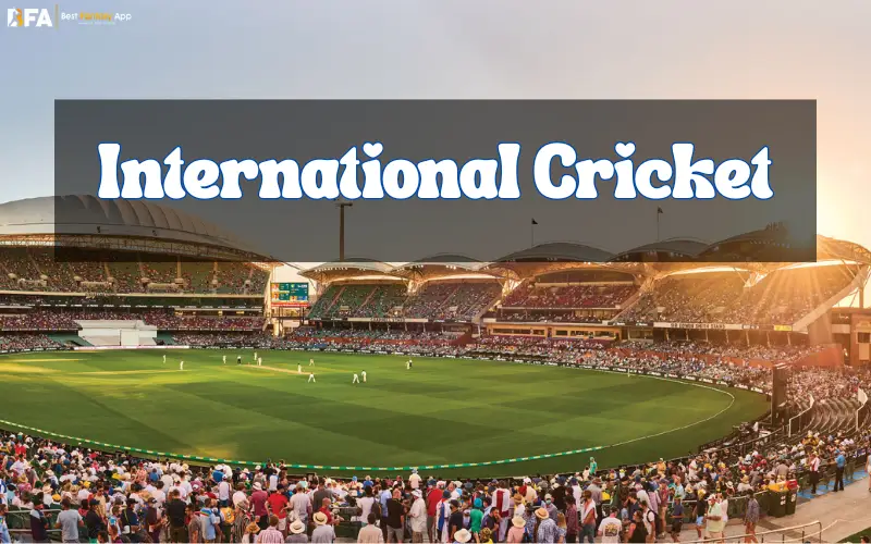 international cricket