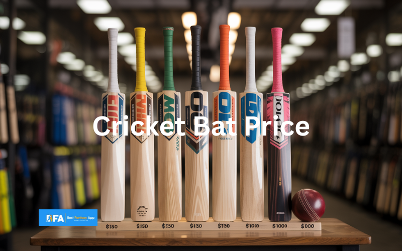 cricket bat price